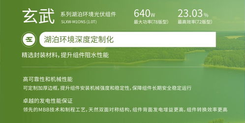 雙良新能科技超級光能系列高效光伏組件榮獲韓國工業標準KS認證，助力銀河棉業綠色發展